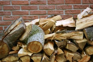 Santa's Friend Chimney - Choosing Correct Firewood